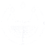 logo-nethungs